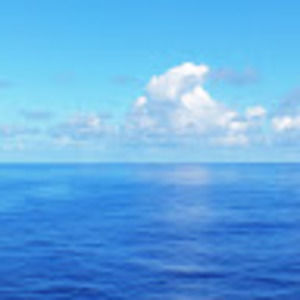 Meet your Posher, Robbie